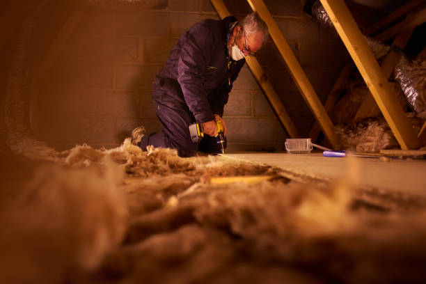 Best Insulation for New Construction  in Sulphur Springs, AR
